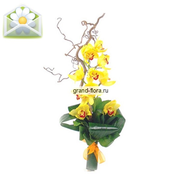 Мадам ВОНГ -  букет из орхидеи
