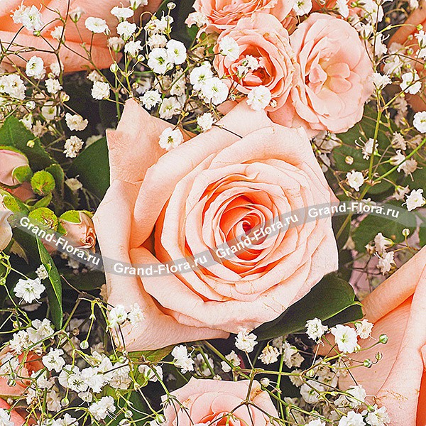 Кустовые розовые розы - Мой Идеал