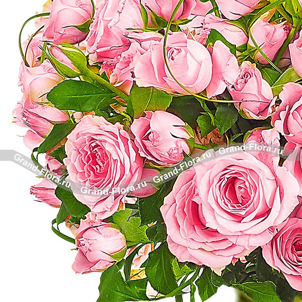 Искренность - букет из кустовой розы и декоративной зелени