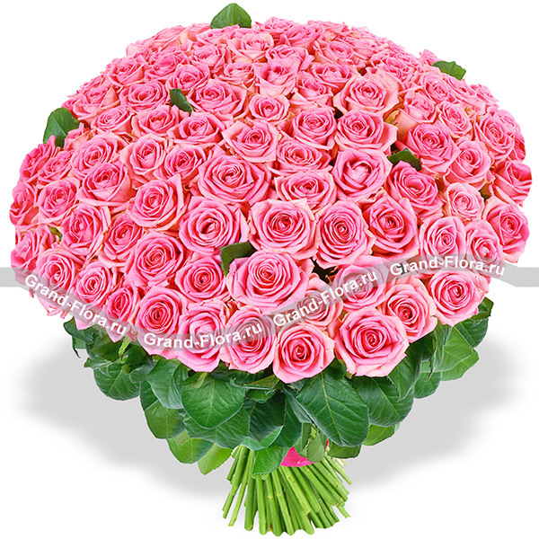 101 розовая роза (70 см) - букет из роз