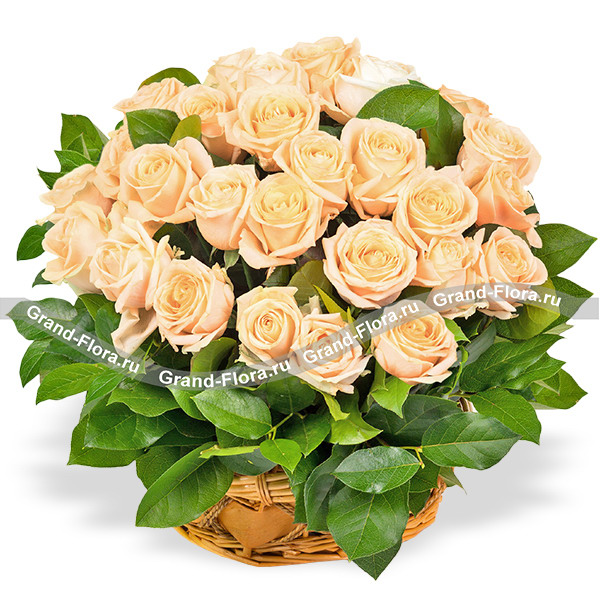 Букет из 51 кремовой розы - Желанный подарок
