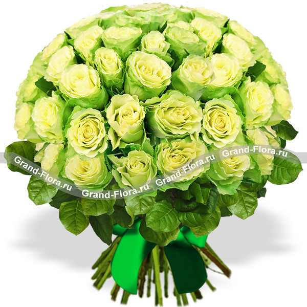 Букет из 51 зелёной розы - Комильфо