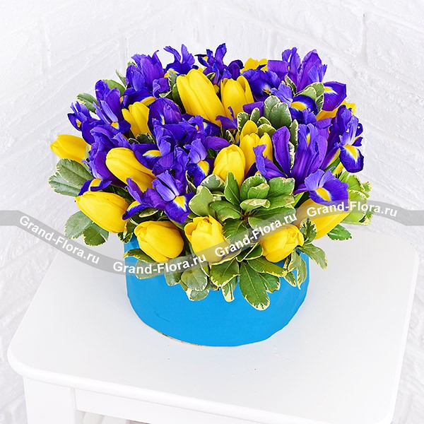 Синее небо - коробка с желтыми тюльпанами и ирисами