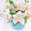 Нежность весны - коробка с белыми орхидеями 2