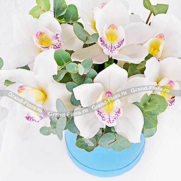 Нежность весны – коробка с белыми орхидеями
