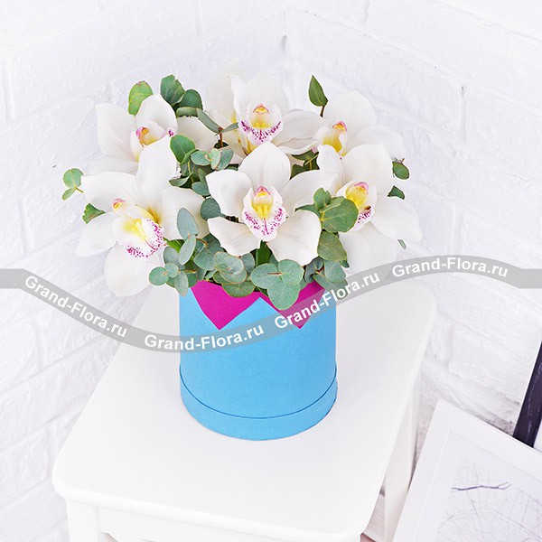 Нежность весны – коробка с белыми орхидеями