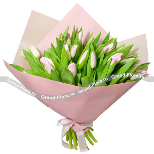Красивые слова - букет из розовых тюльпанов 